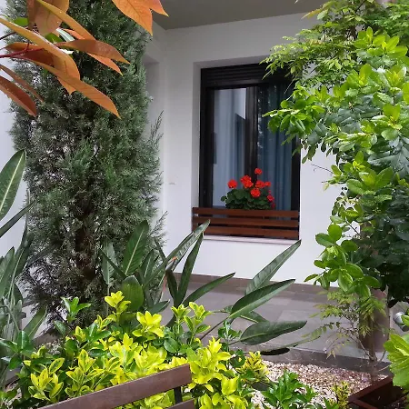 Apartamentos Patio De Viana Cordoue